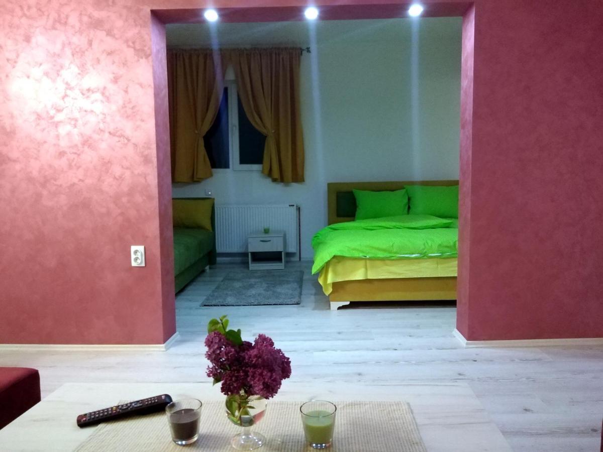 Apartments Vila Selena - Golija Rudno 外观 照片